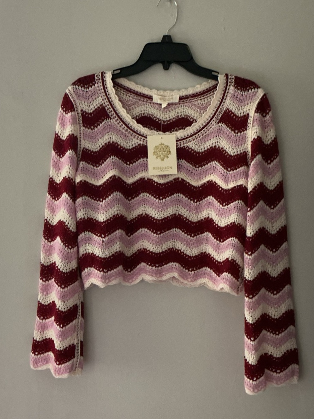 Rebellion Again cropped long sleeve crochet sweater
